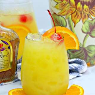 Black Eyed Susan