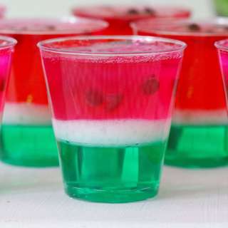 Watermelon Jello Shots