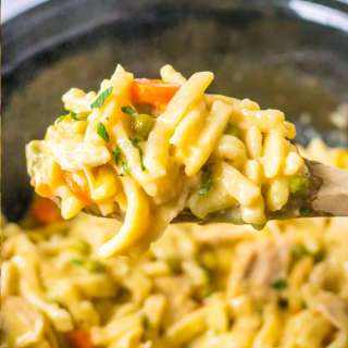Crockpot Chicken and Noodles