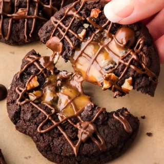Turtle Cookies