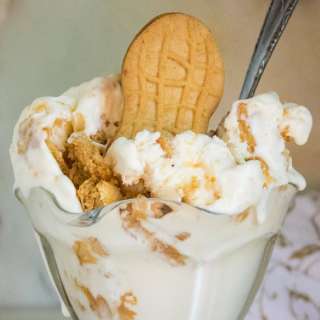 Nutter Butter Ice Cream
