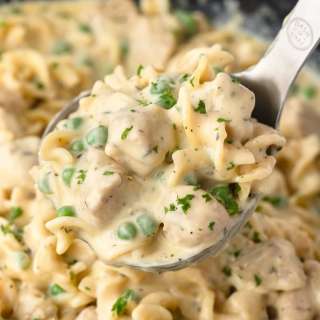 Chicken and Noodles