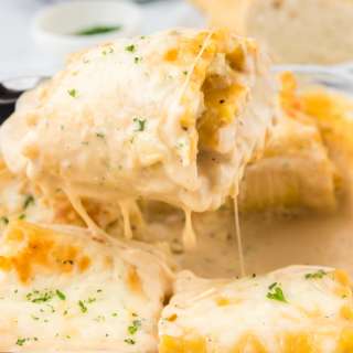 Chicken Alfredo Lasagna Roll Ups