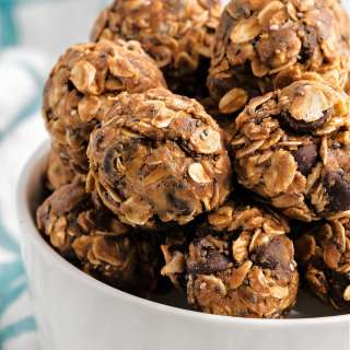 Protein Balls
