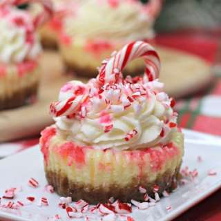 Mini Candy Cane Cheesecake