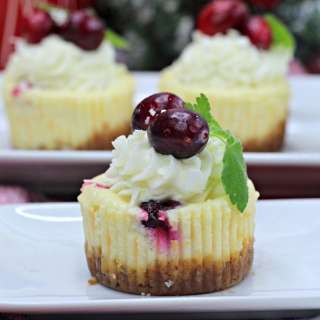 Mini Cranberry Cheesecake