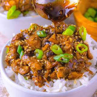 Slow Cooker Teriyaki Chicken