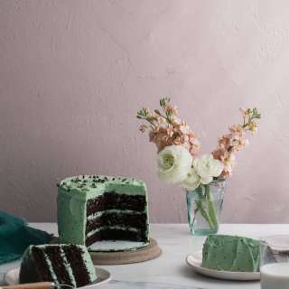 Mint Chocolate Chip Cake