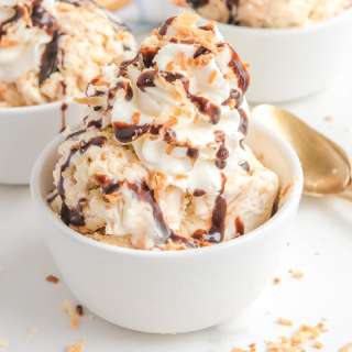 Samoa Ice Cream (Chocolate Coconut Cookie Ice Cream)