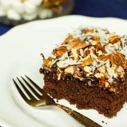 Mississippi Mud Cake