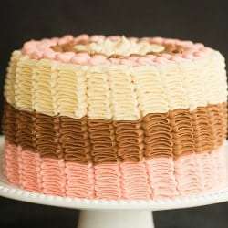 Neapolitan Cake
