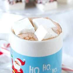 Peppermint Marshmallows