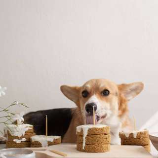 Grain-Free Dog Cake