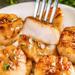 How to Cook Scallops
