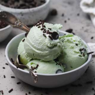 Homemade Mint Chocolate Chip Ice Cream