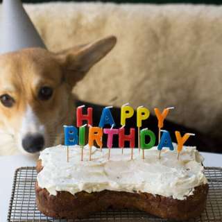 Happy Birthday, Amelia!