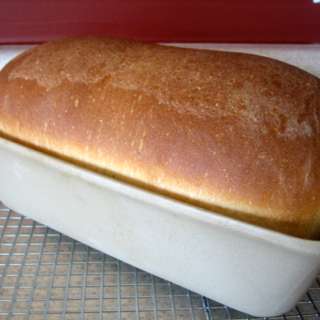 American Sandwich Bread