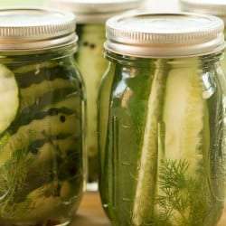 Quick & Easy Refrigerator Dill Pickles