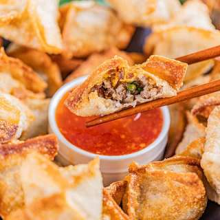 Savory Sausage Wontons