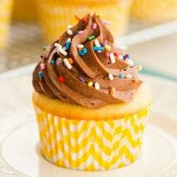 Yellow Cupcakes with Chocolate Frosting