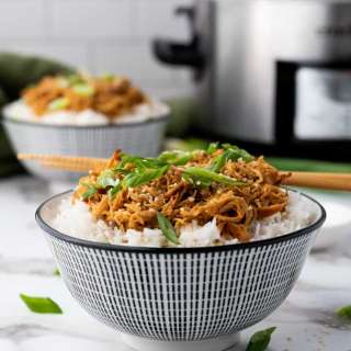 Crockpot Soy Honey Garlic Chicken