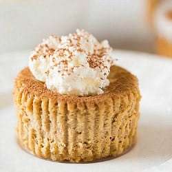 Mini Tiramisu Cheesecakes