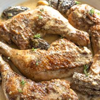 Fricassee Chicken, Morels, and Wine