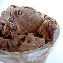 Chocolate Fudge Swirl Peanut Butter Ice Cream