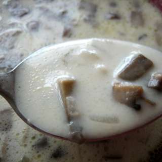 Cream of Wild Mushroom Soup