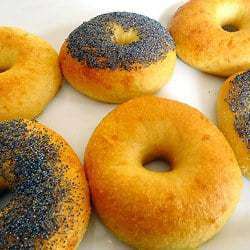 Egg Bagels