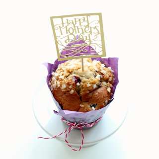 Blueberry and Cranberry Muffins