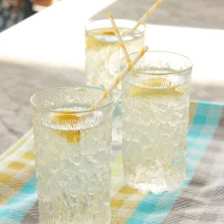 Vodka Lemon Spritzer