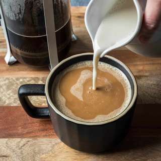 Oat Milk Creamer Recipe With Enzymes (NEW and Improved!)