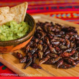 Guacamole con Chapulines (Guacamole with Grasshoppers)