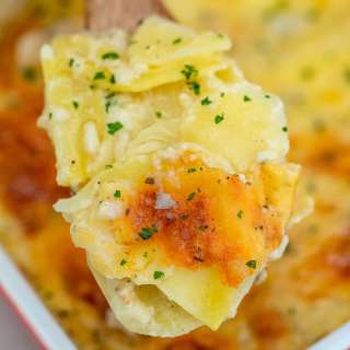 Creamy Potato Gratin