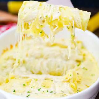 Chicken Alfredo Manicotti