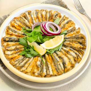 Turkish Anchovy