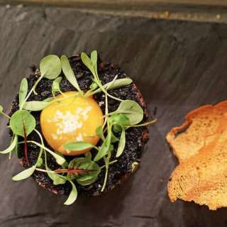 Beef Tartare with Watermelon, Yuzu & Egg Yolk