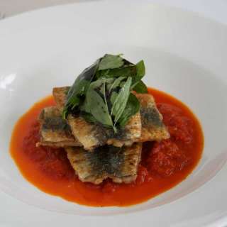 Grilled Sardines on Red Pepper Coulis with Reduced Balsamic