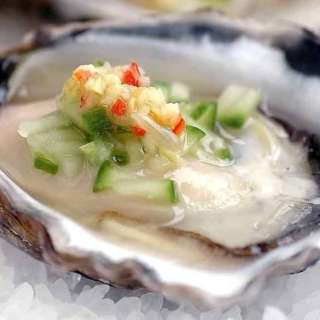 Marinated Oysters with Chili, Lime and Gin