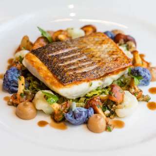 Sea Bass w/ Cauliflower Puree & Chanterelles