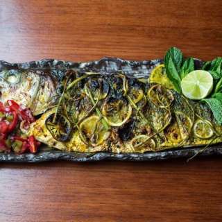 Taghazout Seabass