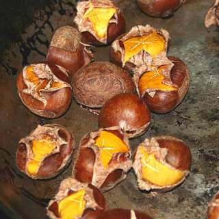 Roasting Chestnuts
