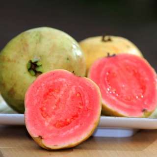Guava Hats in Syrup