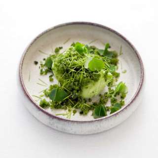 Sorrel Ice-Cream with Cucumber and Spruce Shoots
