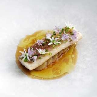 Perch with Swedish Flavors