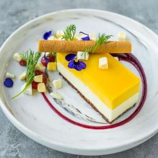 Mango and Chocolate Cheesecake