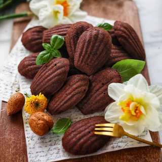 Chocolate Madeleines