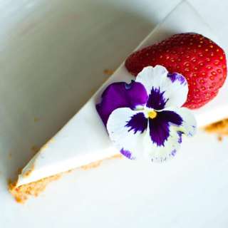 Easy Vegan Cheesecake with Coconut Milk & Dates