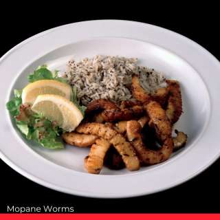Mopane Worms
